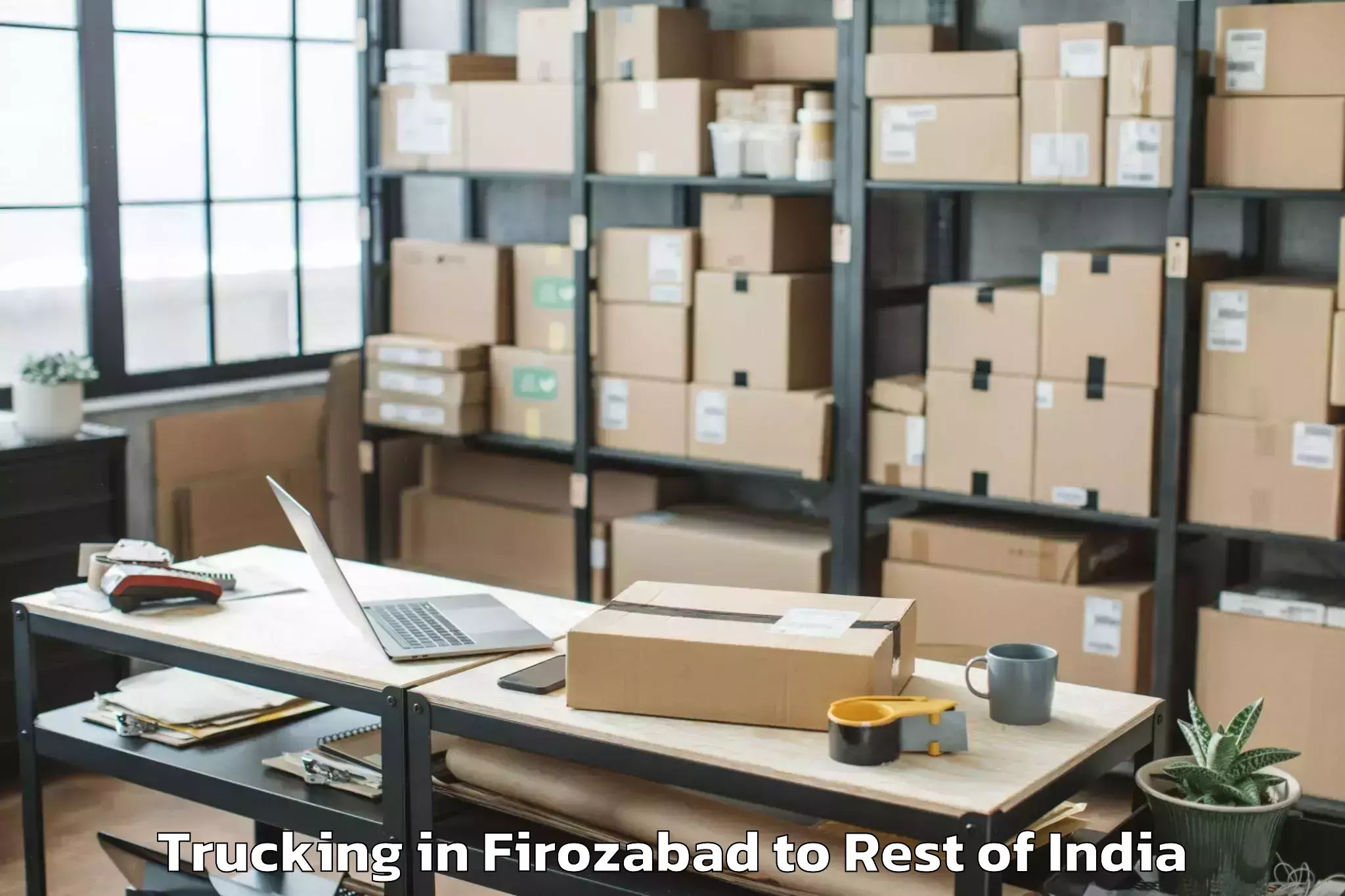 Expert Firozabad to Julapalli Trucking